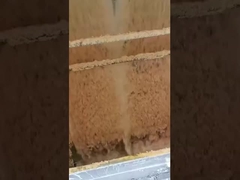 0.8 mm Ελάχιστη διάμετρος οπίσθιας οπίσθιας οπίσθιας οπίσθιας οπίσθιας οπίσθιας οπίσθιας οπίσθιας οπίσθιας οπίσθιας οπίσθιας οπίσθιας οπίσθιας οπίσθιας οπίσθιας οπίσθιας οπίσθιας οπίσθιας οπίσθιας οπίσθιας οπίσθιας οπίσθιας οπίσθιας οπίσθιας οπίσθιας οπίσ